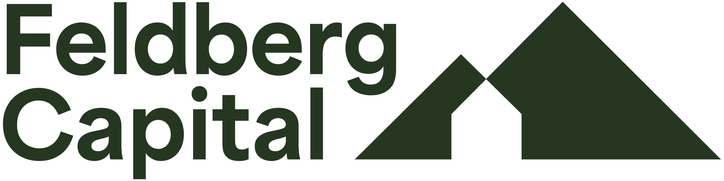 Feldberg Capital GmbH Logo