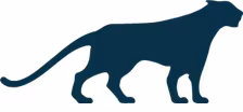 Panther Bay Capital GmbH & Co. KG Logo