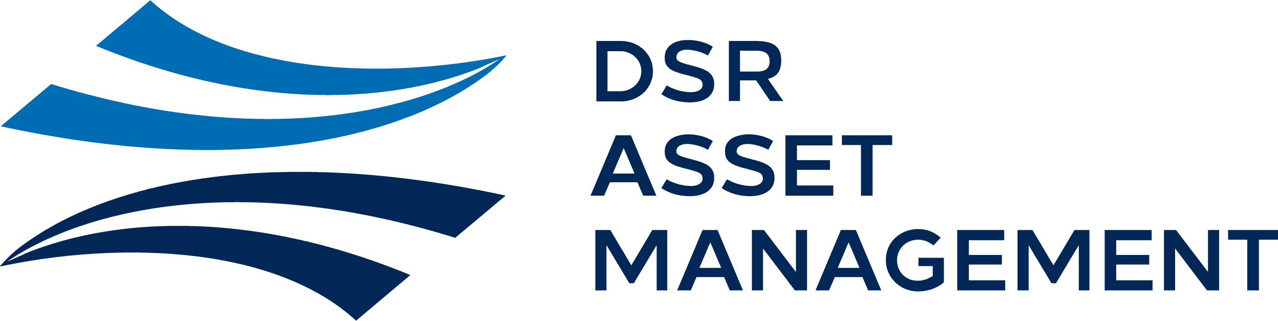 DSR Asset Management GmbH Logo - Kunde von Lanes & Planes